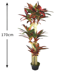 De Gardenia Cordyline X3 Red – 170 cm Tall Artificial Plant with Pot | Lifelike Faux Tropical Greenery for Home & Office Décor