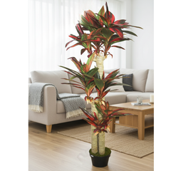De Gardenia Cordyline X3 Red – 170 cm Tall Artificial Plant with Pot | Lifelike Faux Tropical Greenery for Home & Office Décor