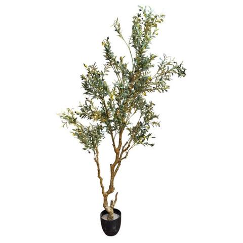 De Gardenia 7.5 FT Artificial Olive Silk Tree – Tall Faux Olive Tree with Lush Green Leaves & Natural-Look Trunk | Indoor & Outdoor Decorative Plant for Home, Office & Balcony