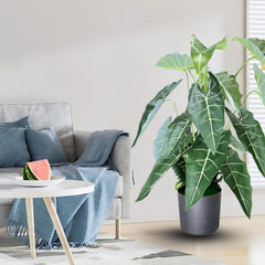 De Gardenia Alocasia Polly Artificial Plant with Pot – 80cm Tall Faux African Mask Plant with Bold Veined Leaves | Indoor Tropical Plant for Home & Office Decor