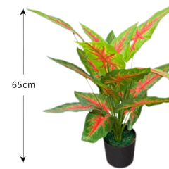 De Gardenia Aglonema X18 – 65 cm Tall Artificial Plant | Lifelike Faux Indoor & Outdoor Décor