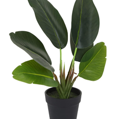 De Gardenia Artificial Banana Travellers Palm Plant – 36 cm (14") Tall Faux Tropical Plant with Plastic Pot | Realistic Indoor Greenery for Home & Office Décor