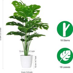 De Gardenia Artificial Money Plant – 55 cm Tall Faux Green Ornamental Plant with White Pot | Indoor Palm Leaf Monstera for Home & Office Decor