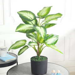 De Gardenia Real Touch Dieffenbachia Artificial Plant (Without Pot) – Lifelike Decorative Green Plant for Home & Office Décor