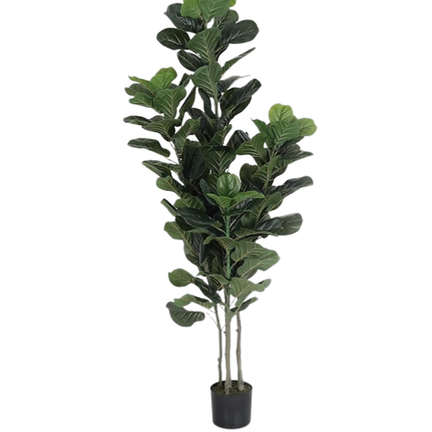De Gardenia Fiddle Fig X4 – 180 cm Tall Artificial Plant with Pot | Lifelike Faux Indoor & Outdoor Décor