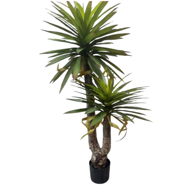 De Gardenia Real Touch Yucca X2 – 140 cm Tall Artificial Plant Without Pot | Lifelike Faux Tropical Greenery for Home & Office