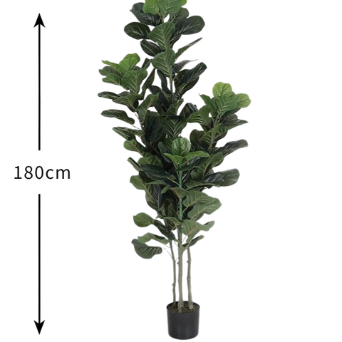 De Gardenia Fiddle Fig X4 – 180 cm Tall Artificial Plant with Pot | Lifelike Faux Indoor & Outdoor Décor