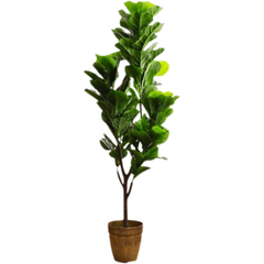 De Gardenia Olive Plant – 150 cm Tall Artificial Plant | Lifelike Faux Indoor & Outdoor Décor Without Pot