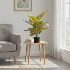 De Gardenia Aglonema X18 – 65 cm Tall Artificial Plant | Lifelike Faux Indoor & Outdoor Décor