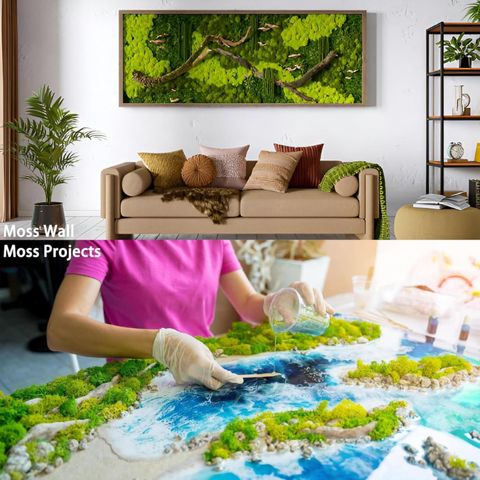 De Gardenia Prefleur Preserved Reindeer Craft Moss | Natural Green DIY Kit for Gardening, Arts & Crafts, Florist Projects, Wedding Backdrop & Home Decoration