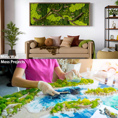 De Gardenia Prefleur Preserved Reindeer Craft Moss | Natural Green DIY Kit for Gardening, Arts & Crafts, Florist Projects, Wedding Backdrop & Home Decoration