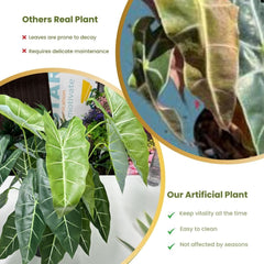De Gardenia Alocasia Polly Artificial Plant with Pot – 80cm Tall Faux African Mask Plant with Bold Veined Leaves | Indoor Tropical Plant for Home & Office Decor