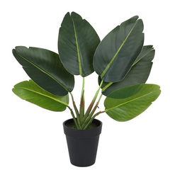 De Gardenia Artificial Banana Travellers Palm Plant – 36 cm (14") Tall Faux Tropical Plant with Plastic Pot | Realistic Indoor Greenery for Home & Office Décor