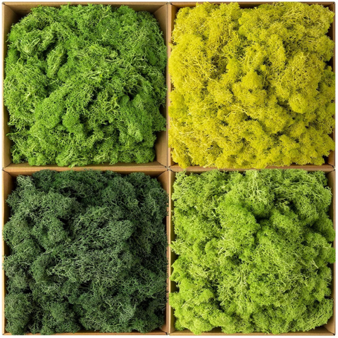 De Gardenia Preserved Reindeer Moss – Multicolored Natural Moss for Crafts, DIY, Home & Office Wall Décor | Pack of 4 Colors | 250g Each Color