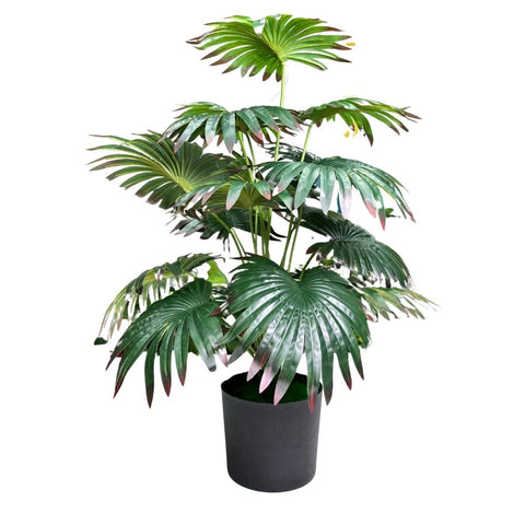 De Gardenia Artificial Licuala Palm Plant with Pot – 2.5 Ft Tall Ruffled Fan Palm Tree | Realistic Faux Tropical Indoor Plant for Home & Office Décor