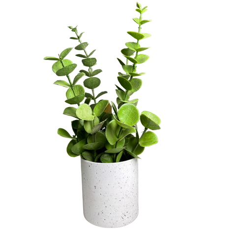 De Gardenia Artificial Rubber Plant – Small Faux Potted Plant for Tabletop, Home, Bathroom & Office Décor | Indoor Decorative Greenery