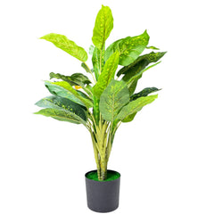De Gardenia Artificial Dieffenbachia Plant with Pot – 80cm Tall Faux Indoor Plant with Broad Green & Cream Leaves | 4 Stems | Realistic Decorative Plant for Home & Office