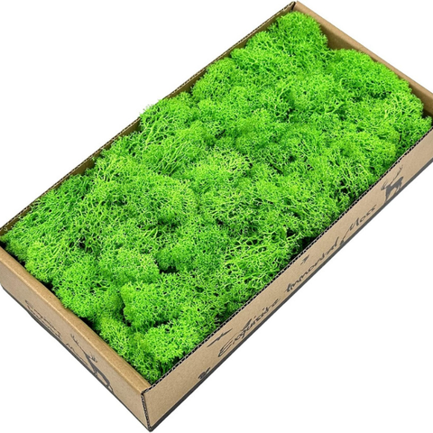 De Gardenia Preserved Reindeer Moss – Light Green | Bulk Pack | Natural Moss for Crafts, Wall Art, Terrariums & Home Decor