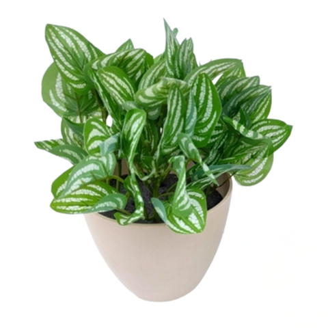 De Gardenia Wandering Jew Leaves Shrub – 25cm Artificial Plant Without Pot for Home & Office Décor