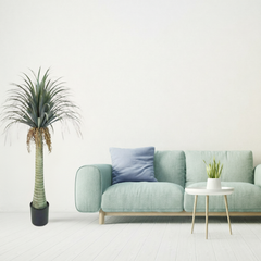 De Gardenia Cactus Dracena – 130 cm Tall Artificial Plant with Pot | Lifelike Faux Indoor & Outdoor Décor