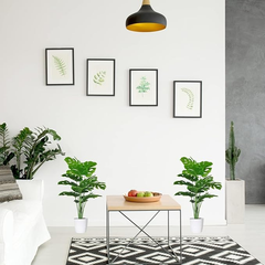 De Gardenia Artificial Money Plant – 55 cm Tall Faux Green Ornamental Plant with White Pot | Indoor Palm Leaf Monstera for Home & Office Decor