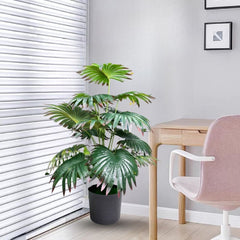 De Gardenia Artificial Licuala Palm Plant with Pot – 2.5 Ft Tall Ruffled Fan Palm Tree | Realistic Faux Tropical Indoor Plant for Home & Office Décor
