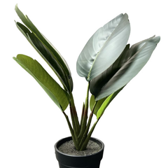 De Gardenia Artificial Banana Travellers Palm Plant – 36 cm (14") Tall Faux Tropical Plant with Plastic Pot | Realistic Indoor Greenery for Home & Office Décor