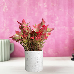 De Gardenia Artificial Rubber Plant – Small Faux Potted Plant for Tabletop, Home, Bathroom & Office Décor | Indoor Decorative Greenery