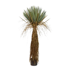 De Gardenia Bastian Cactus – 160 cm Tall Artificial Plant with Pot | Lifelike Faux Indoor & Outdoor Décor