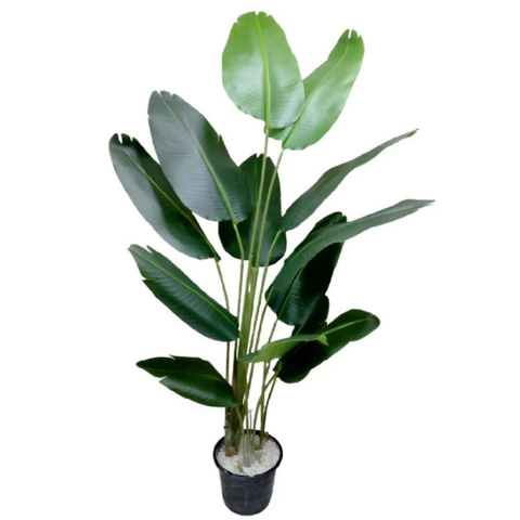 De Gardenia Artificial Traveller Palm – 180CM Tall Faux Palm Tree with 12 Lush Leaves | Without Pot | Decorative Tropical Plant for Home, Office & Events