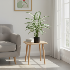 De Gardenia Aglonema X18 – 65 cm Tall Artificial Plant | Lifelike Faux Indoor & Outdoor Décor