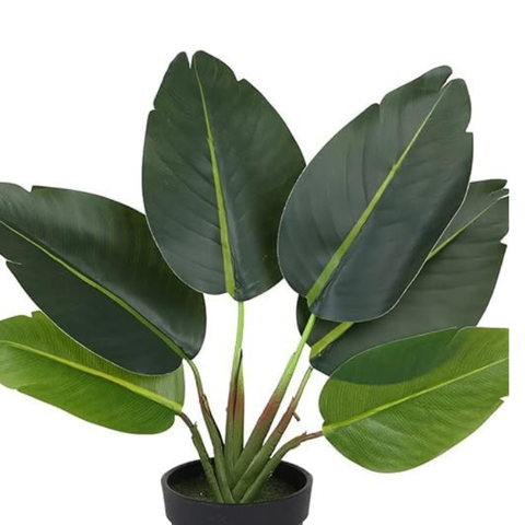 De Gardenia Artificial Banana Travellers Palm Plant – 36 cm (14") Tall Faux Tropical Plant with Plastic Pot | Realistic Indoor Greenery for Home & Office Décor