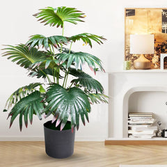 De Gardenia Artificial Licuala Palm Plant with Pot – 2.5 Ft Tall Ruffled Fan Palm Tree | Realistic Faux Tropical Indoor Plant for Home & Office Décor