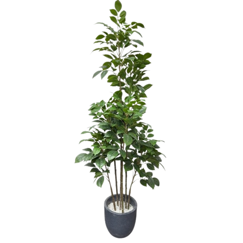 De Gardenia Artificial Red Machira Green Plant – 180CM Tall Faux Tree Without Pot | Lush Decorative Plant for Home, Office & Events