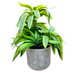 De Gardenia Handmade Artificial Dracaena Reflexa Bonsai Plant with Pot – 30 cm Tall Faux Decorative Plant for Home & Office Décor | Realistic Indoor Greenery
