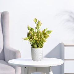 De Gardenia Artificial Rubber Plant – Small Faux Potted Plant for Tabletop, Home, Bathroom & Office Décor | Indoor Decorative Greenery