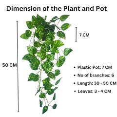 De Gardenia Artificial Vines | Faux Greenery Garland with Willow Leaves | Hanging Ivy Trailing Plant for Home, Office & Holiday Decoration