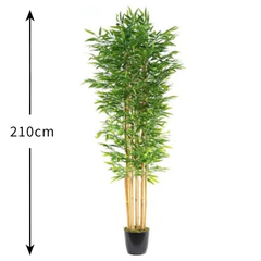 De Gardenia 180cm Semi-Natural Bamboo Plant with Pot – 6ft Real-Trunk Faux Indoor Bamboo Tree for Home, Office & Zen Décor