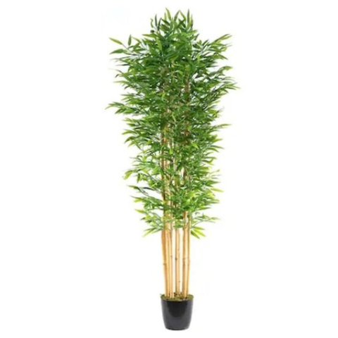 De Gardenia 180cm Semi-Natural Bamboo Plant with Pot – 6ft Real-Trunk Faux Indoor Bamboo Tree for Home, Office & Zen Décor