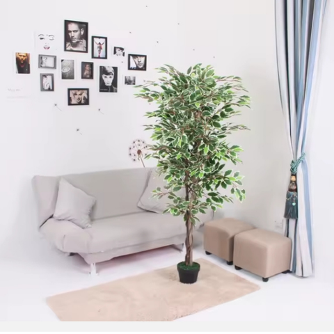 De Gardenia Variegated Ficus in Wooden Bark – 180 cm Tall Artificial Plant Without Pot | Lifelike Faux Indoor Greenery
