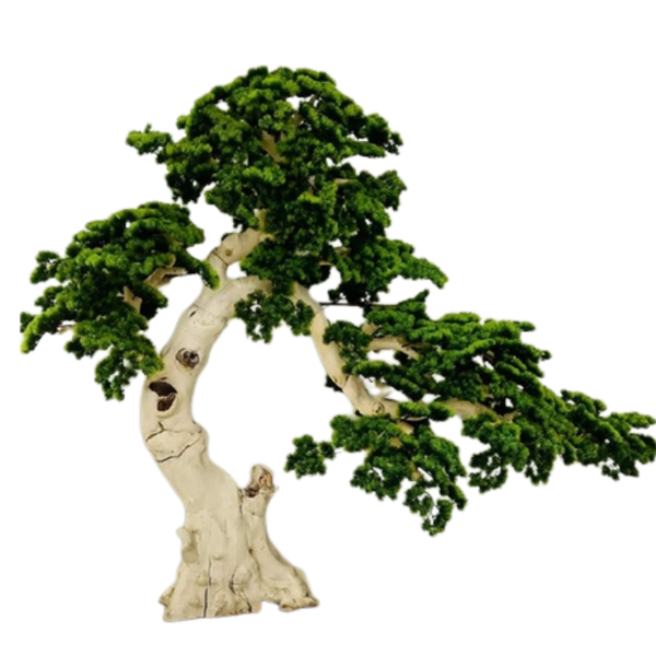 De Gardenia 195cm Semi-Natural Pine Tree Bonsai with Pot – Real-Trunk Faux Indoor Tree for Home, Office & Luxury Décor