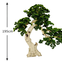 De Gardenia 195cm Semi-Natural Pine Tree Bonsai with Pot – Real-Trunk Faux Indoor Tree for Home, Office & Luxury Décor