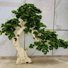 De Gardenia 195cm Semi-Natural Pine Tree Bonsai with Pot – Real-Trunk Faux Indoor Tree for Home, Office & Luxury Décor