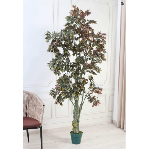 De Gardenia Ficus Red – 200 cm Tall Artificial Plant with Pot | Lifelike Faux Indoor & Outdoor Greenery