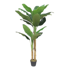 De Gardenia Banana Plant X2 – 150 cm Tall Artificial Plant with 17 Lifelike Leaves Without Pot | Faux Tropical Greenery for Home & Office