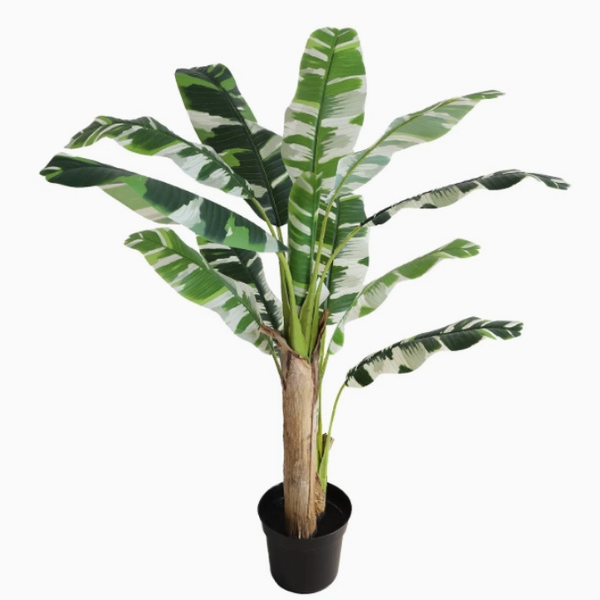 De Gardenia Banana White X3 – 180 cm Tall Artificial Plant Without Pot | Lifelike Faux Tropical Greenery for Home & Office