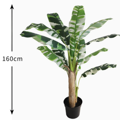 De Gardenia Banana White X3 – 180 cm Tall Artificial Plant Without Pot | Lifelike Faux Tropical Greenery for Home & Office