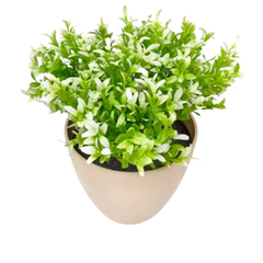 De Gardenia White Plastic Bunch – 35 cm Tall Artificial Plant | Lifelike Faux Foliage for Home, Office & Décor