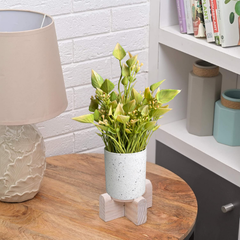 De Gardenia Artificial Rubber Plant – Small Faux Potted Plant for Tabletop, Home, Bathroom & Office Décor | Indoor Decorative Greenery