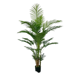 De Gardenia Areca Palm X2 – 150 cm Tall Artificial Plant Without Pot | Lifelike Faux Tropical Greenery for Home & Office
